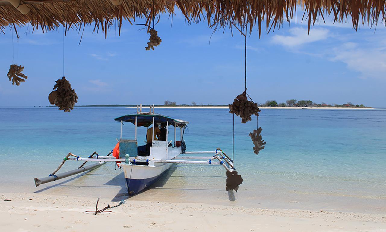 East Lombok Dive Hotel - 3 Private Rooms On The Beach With Seaview & Scuba Diving Center Labuhan Pandan Kültér fotó